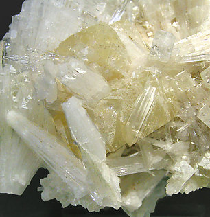 Powellite with Scolecite and Fluorapophyllite-(K). 