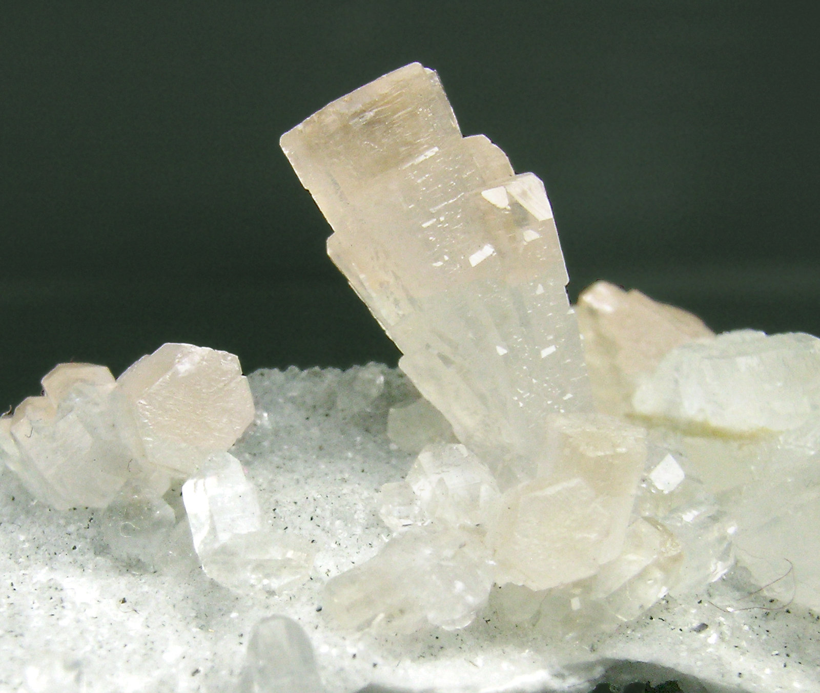 specimens/s_imagesN2/Strontianite-AM67N2d1.jpg