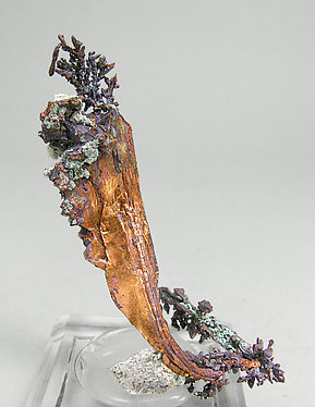 Copper with Cuprite and Malachite. Front