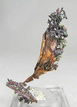 Copper with Cuprite and Malachite. Rear
