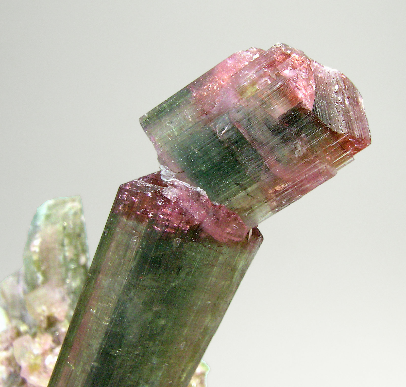 specimens/s_imagesN4/Elbaite-MT73N4d.jpg