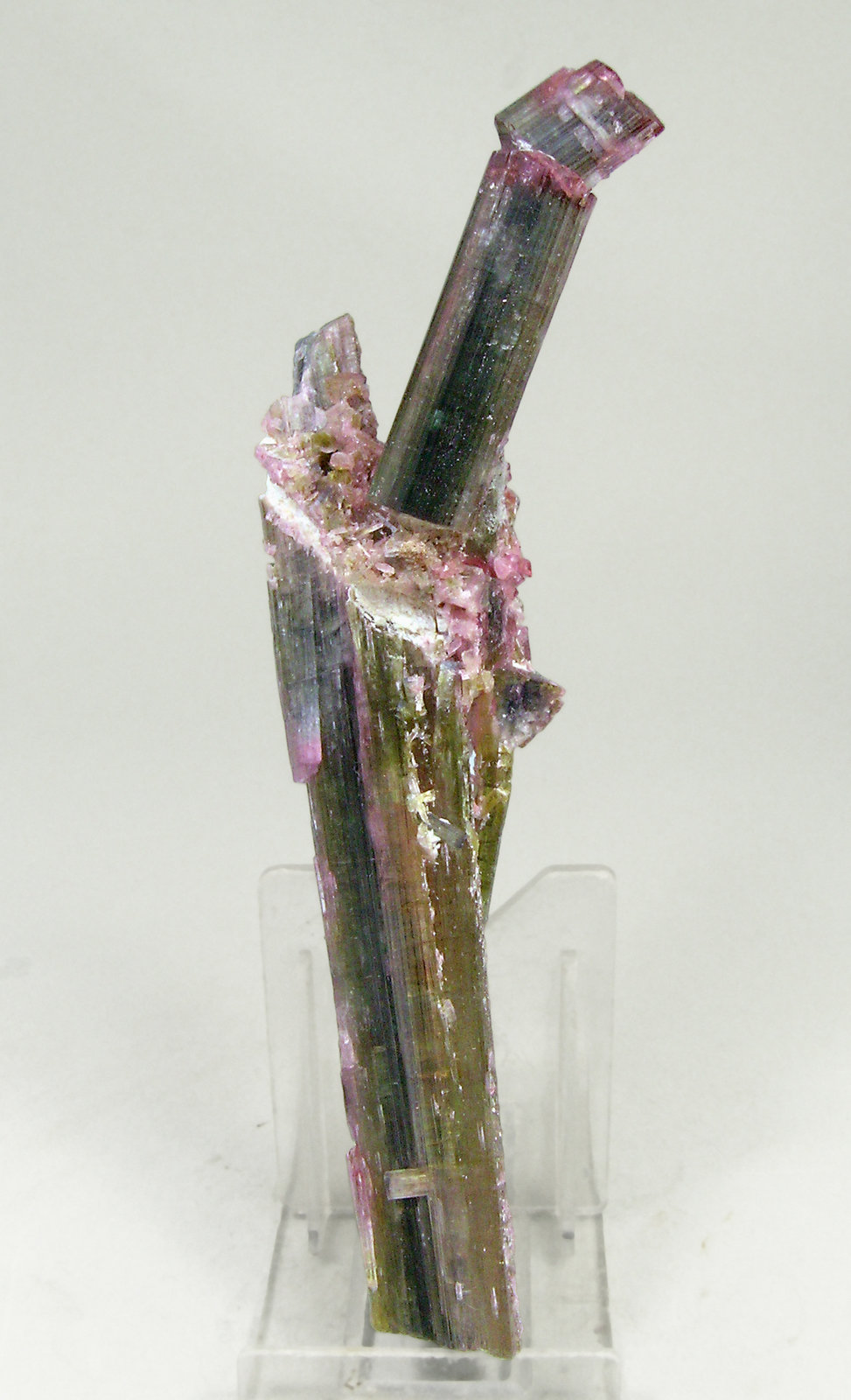 specimens/s_imagesN4/Elbaite-MT73N4f.jpg