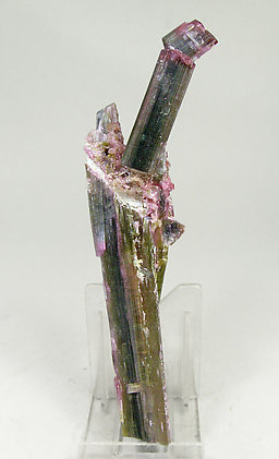 Elbaite. Front