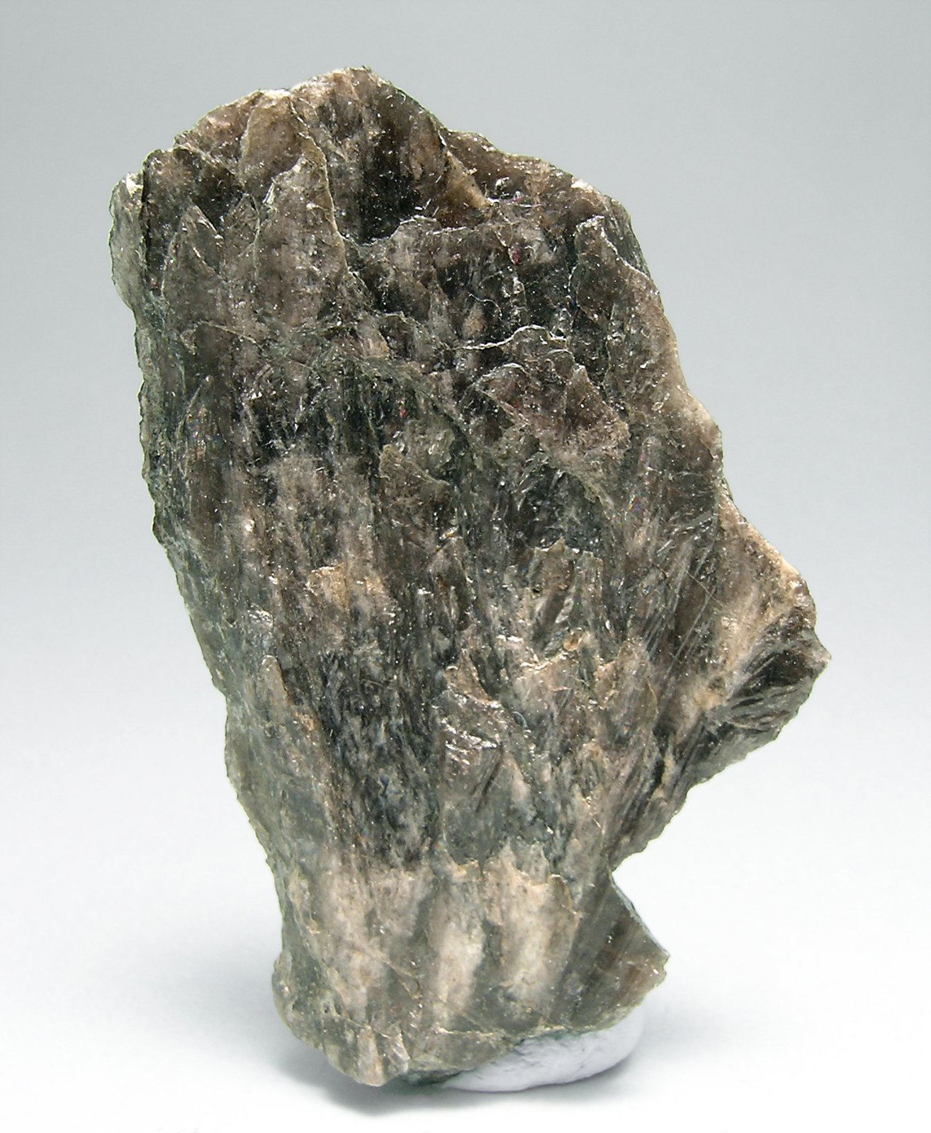 specimens/s_imagesN4/Ferro-axinite-RA58N4.jpg