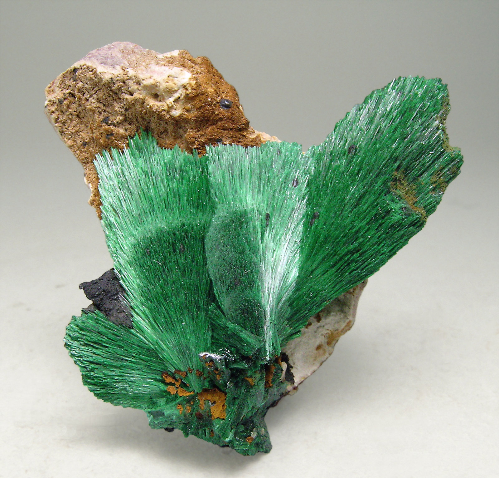 specimens/s_imagesN4/Malachite-NQ16N4.jpg