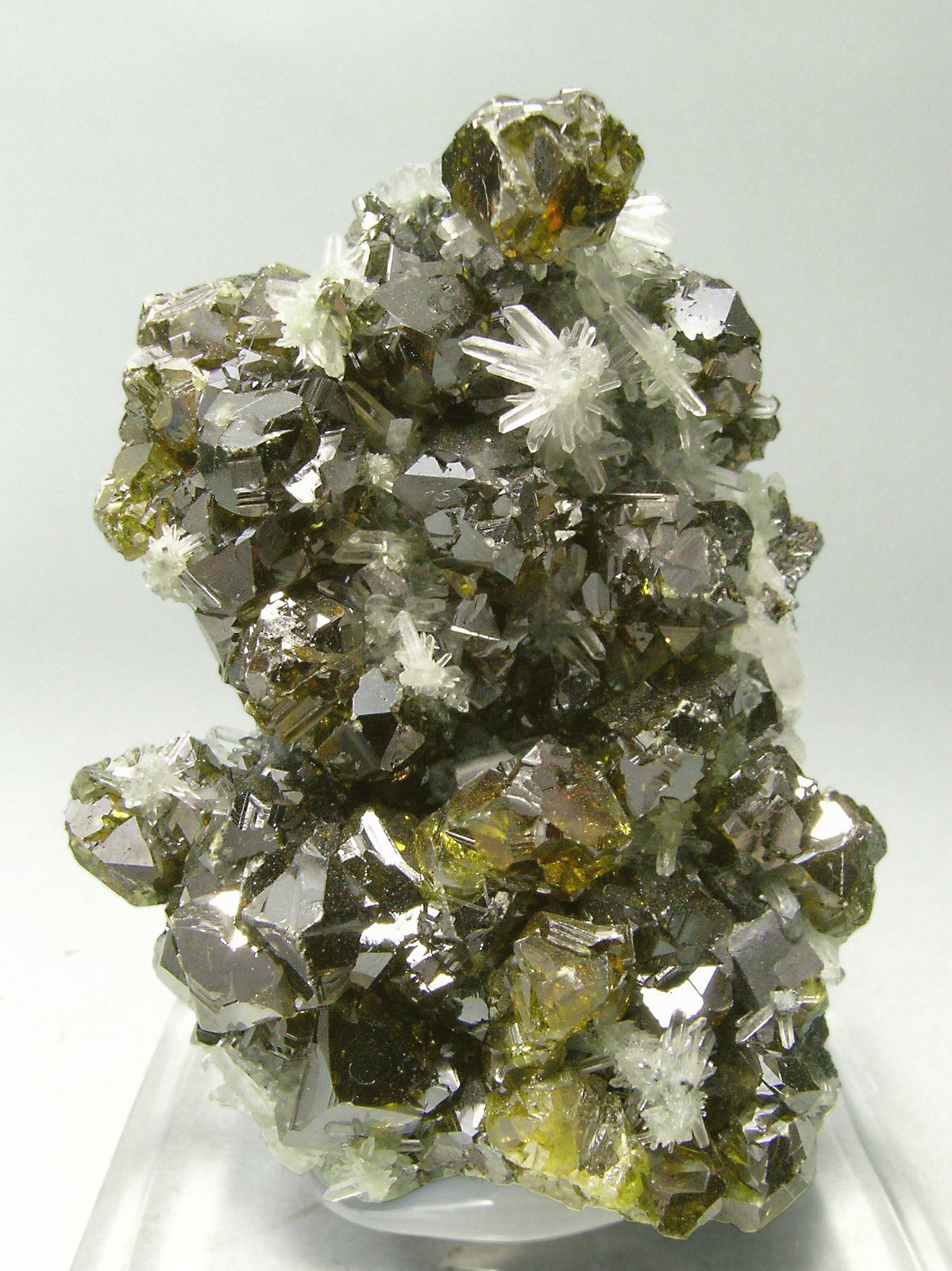 specimens/s_imagesN4/Sphalerite-ML37N4f.jpg