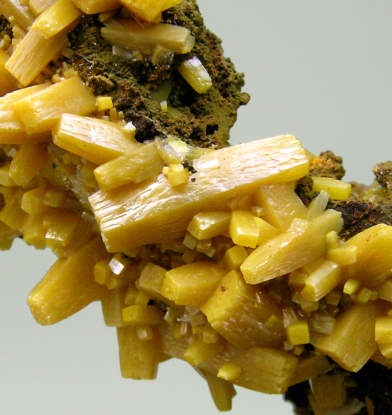 specimens/s_imagesN4/Wulfenite-TC27N4d.jpg