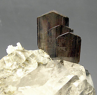 Brookite with Quartz. 