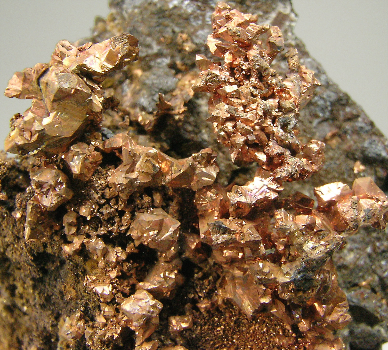 specimens/s_imagesN6/Copper-NB61N6d.jpg