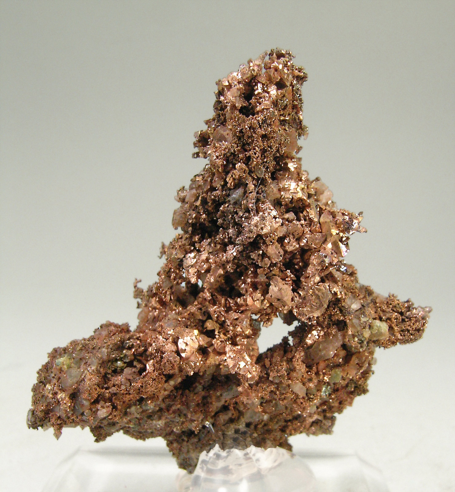 specimens/s_imagesN6/Copper-NJ11N6r.jpg