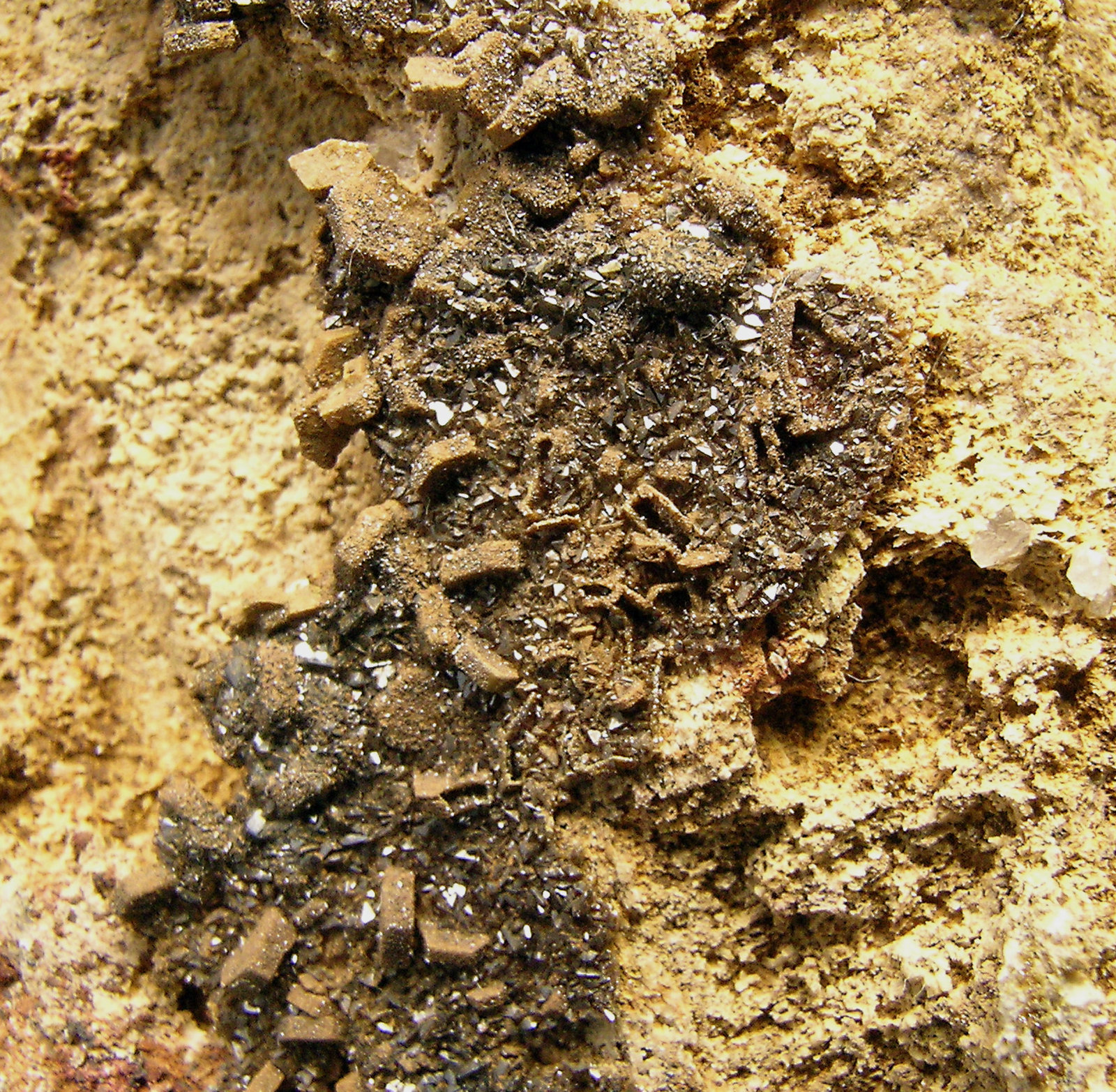 specimens/s_imagesN7/Descloizite_after_Vanadinite-NM58N7d.jpg