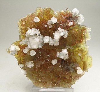 Fluorite with Calcite. 