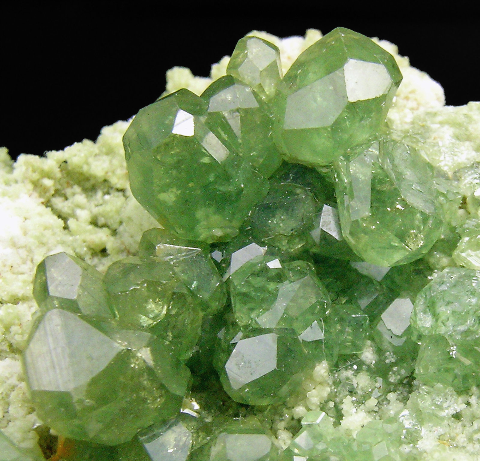 specimens/s_imagesN8/Andradite_Demantoid-EV57N8d.jpg