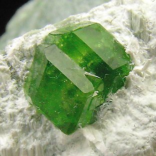 Andradite (variety demantoid) with Amphibole. 