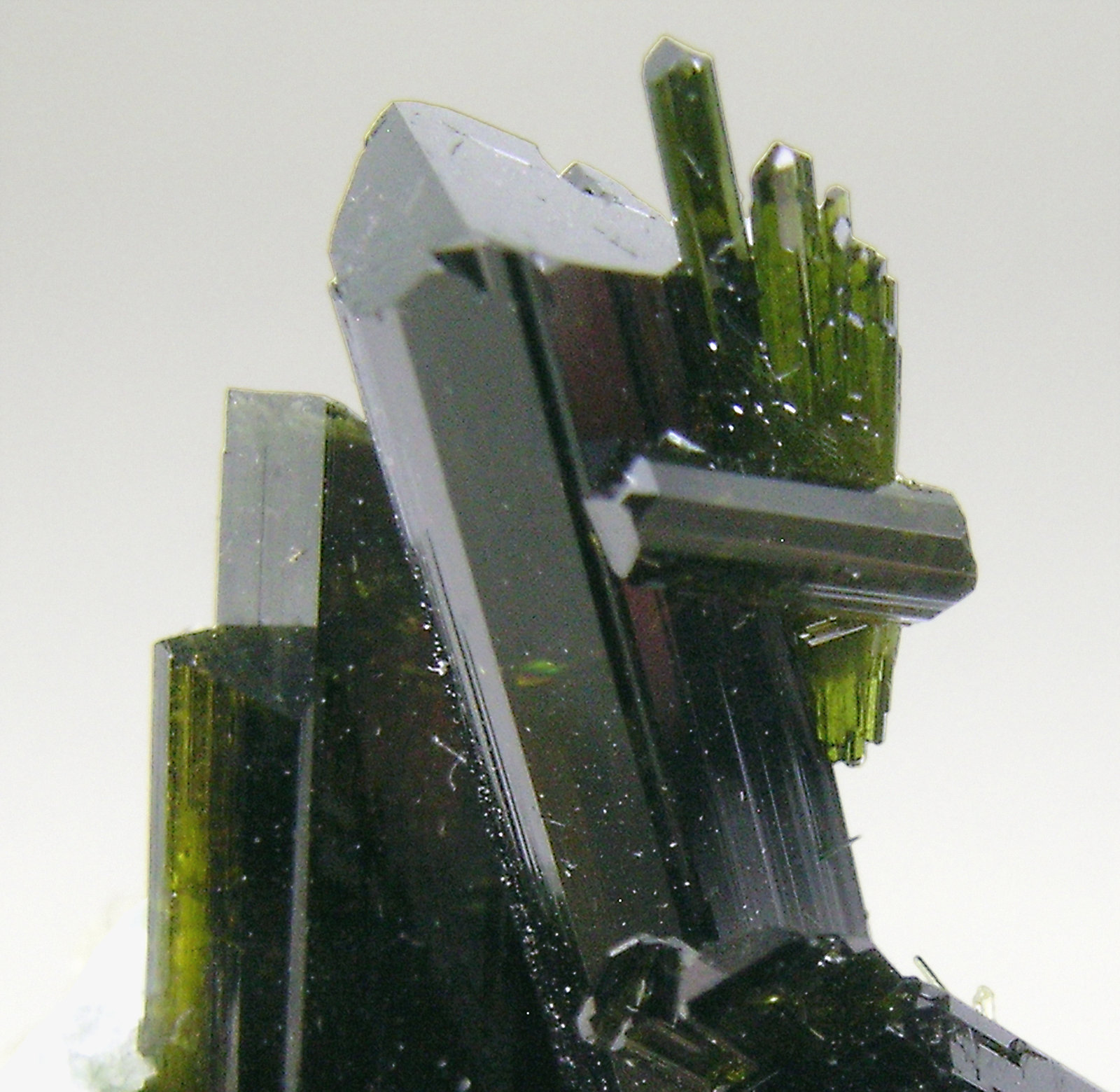 specimens/s_imagesN8/Epidote-EA64N8d.jpg