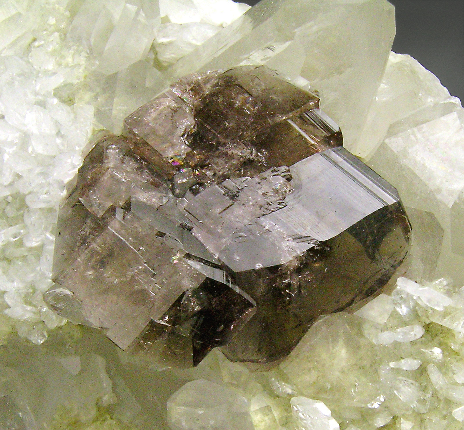 specimens/s_imagesN9/Axinite_Fe-TM96N9d.jpg