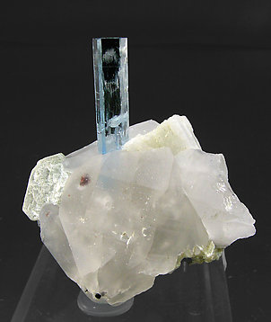 Beryl (variety aquamarine) with Quartz, Albite, Schorl, Garnet and Muscovite. 