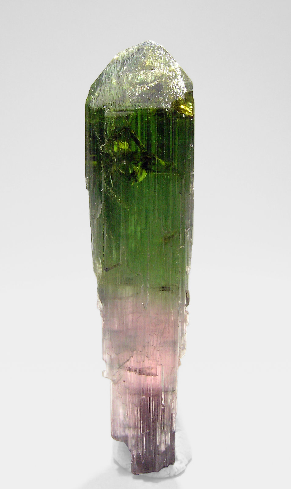 specimens/s_imagesN9/Elbaite-TB67N9f.jpg