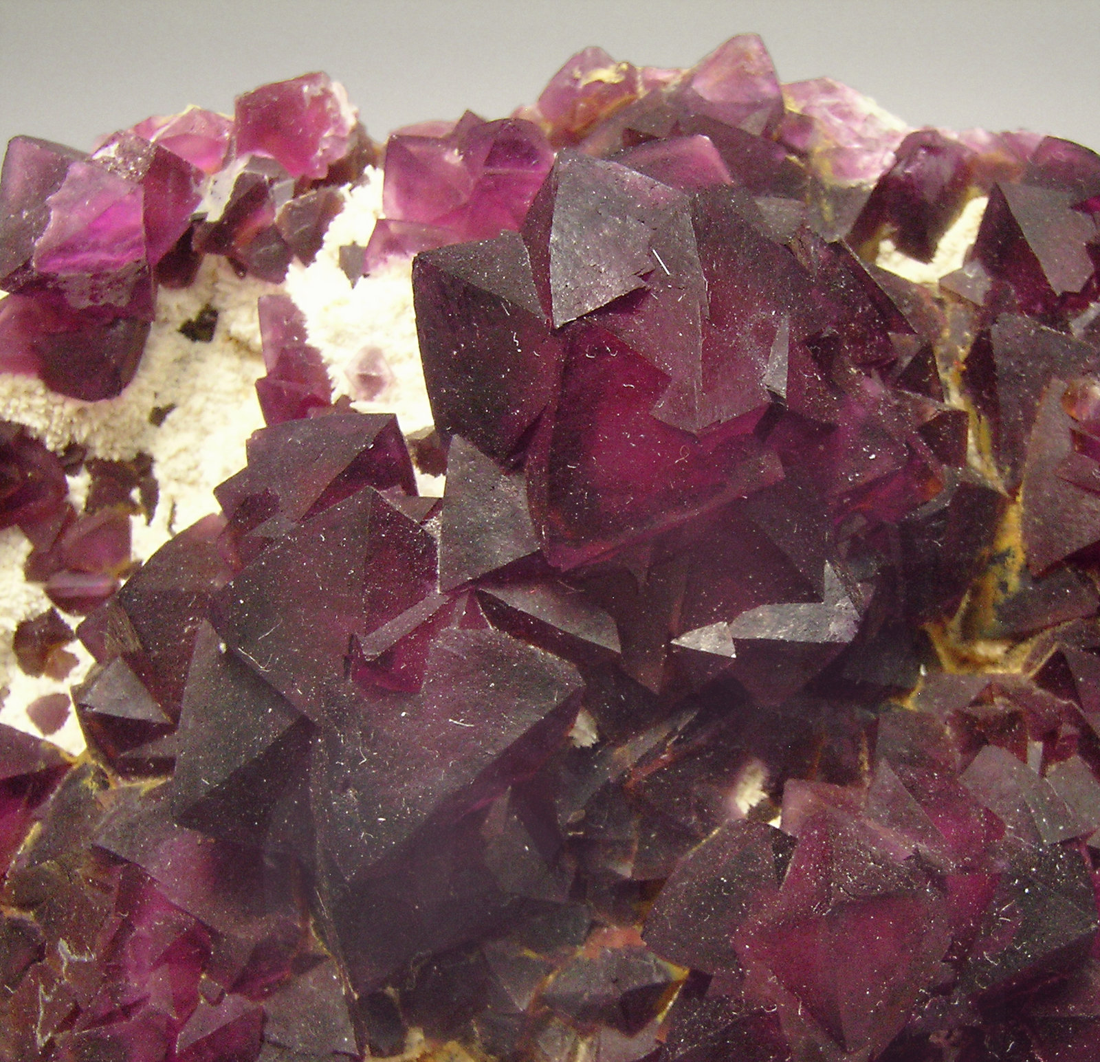 specimens/s_imagesN9/Octahedral_Fluorite-TT52N9d.jpg