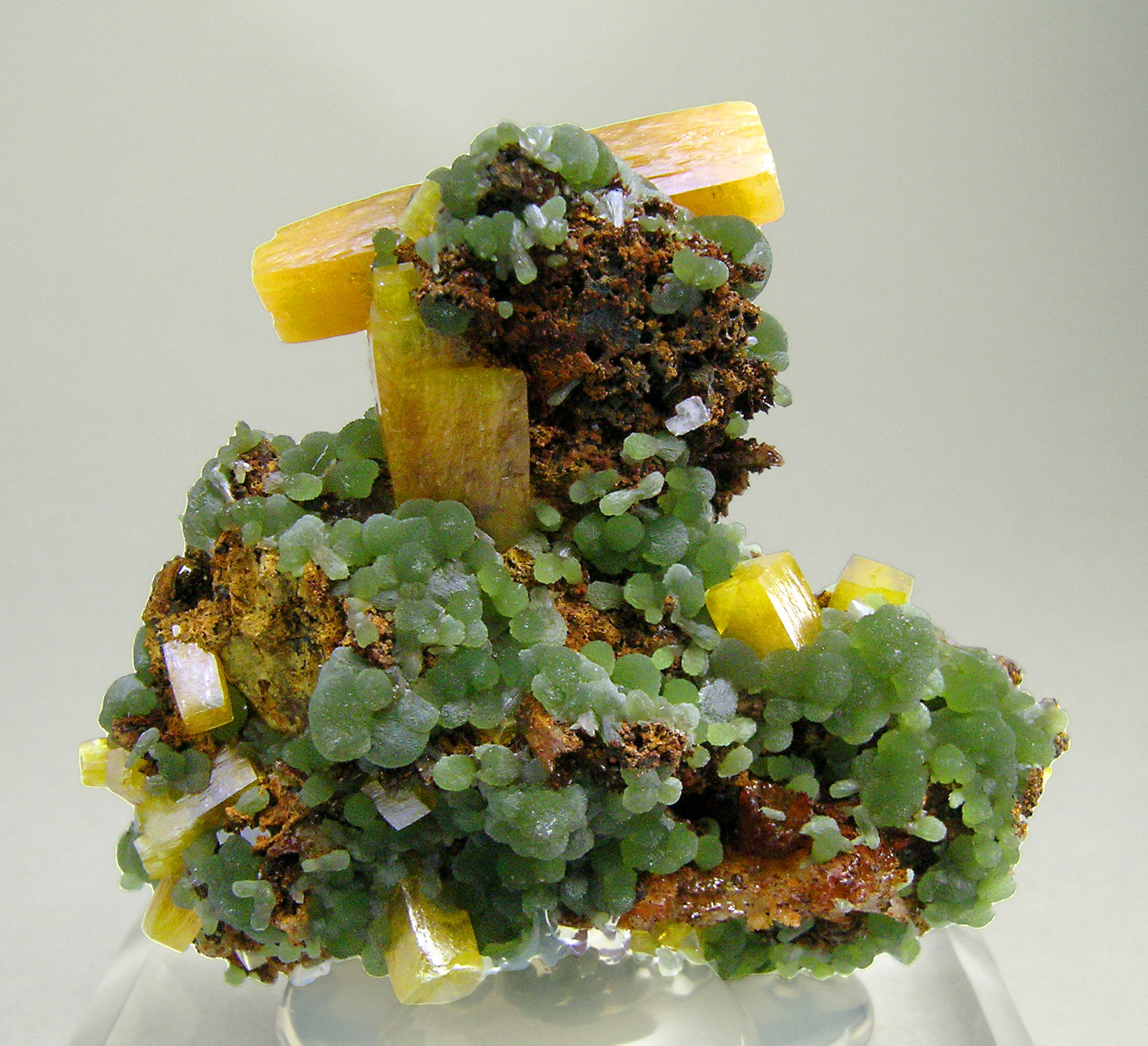 specimens/s_imagesN9/Wulfenite-TZ96N9r.jpg