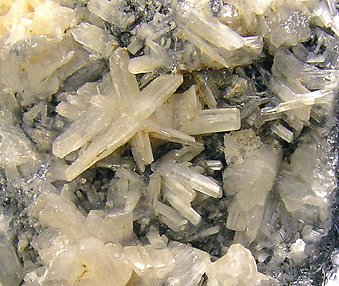 Cerussite with Galena. 