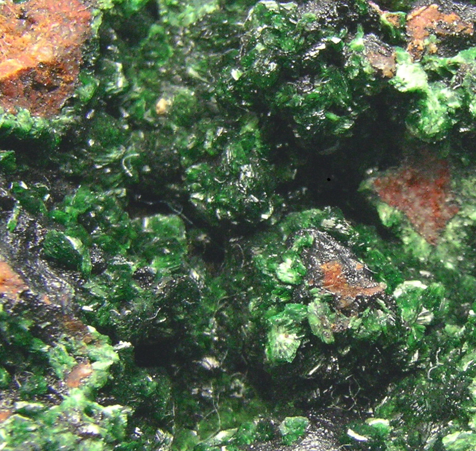 specimens/s_imagesP1/Chalcosiderite-RE27P1d.jpg