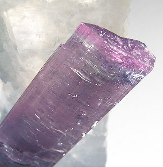 Elbaite (variedad rubellite) with doubly terminated Quartz. 