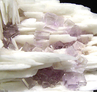 Fluorite with Baryte. 