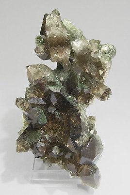 Smoky Quartz with Chlorite and amphibole.