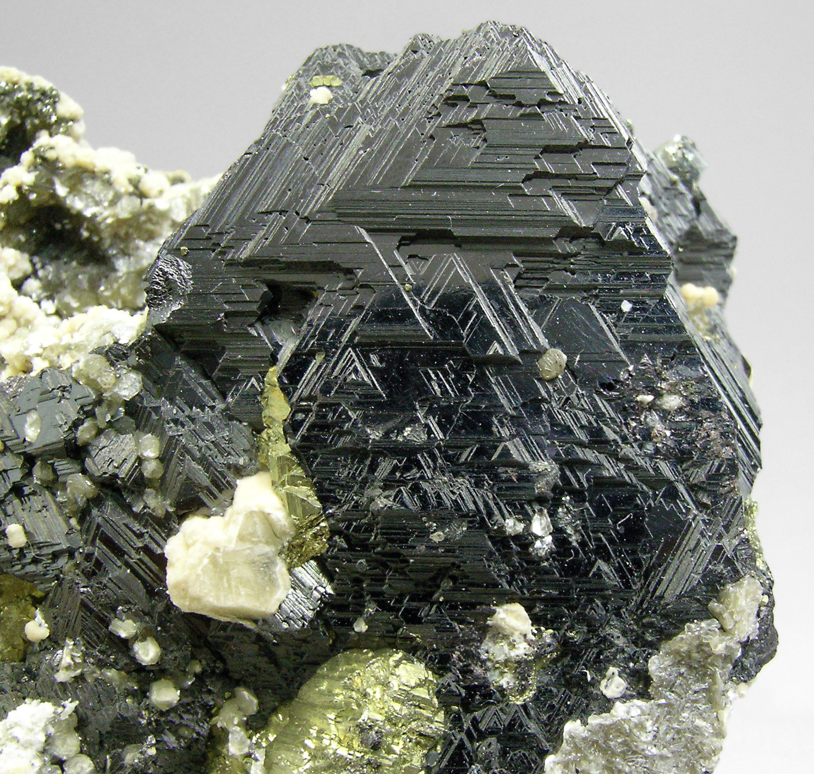 specimens/s_imagesP1/Sphalerite-RP66P1d.jpg