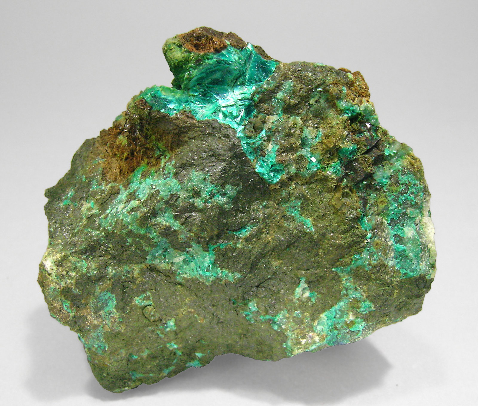 specimens/s_imagesP1/Tyrolite-RT9P1f.jpg