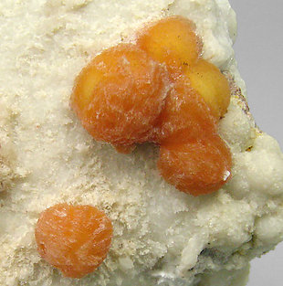 Ferrierite-Mg with Calcite. 