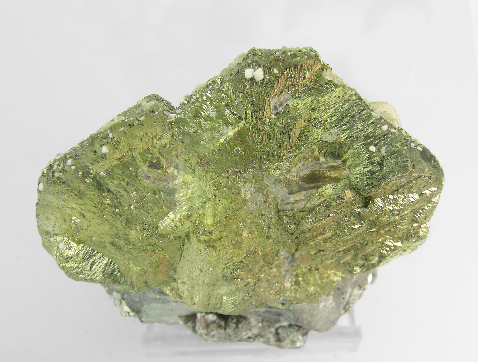 specimens/s_imagesP3/Chalcopyrite-TG27P3t.jpg