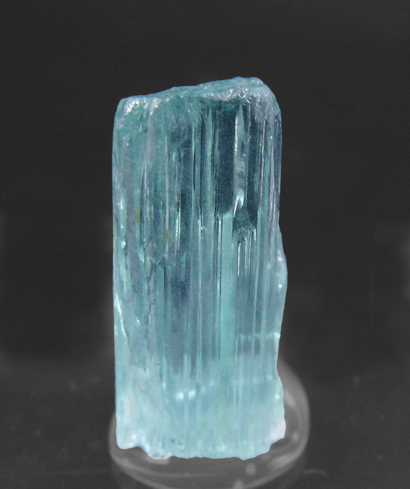 specimens/s_imagesP3/Elbaite-Cu_Paraiba-EP47P3r.jpg