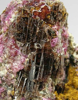 Painite with Corundum (variety ruby). 