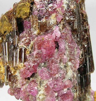 Painite with Corundum (variety ruby). 