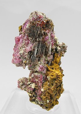 Painite with Corundum (variety ruby). 