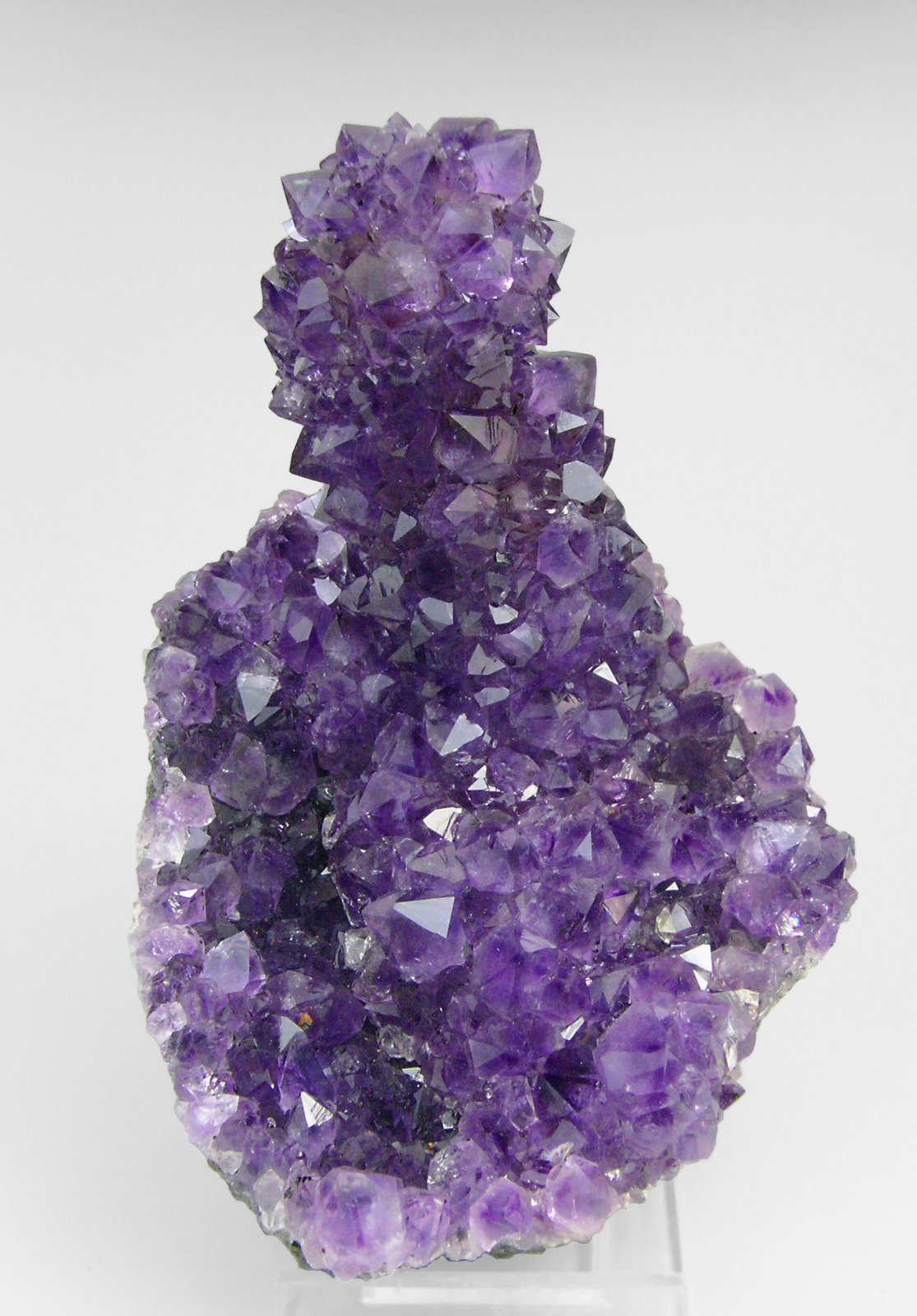 specimens/s_imagesP3/Quartz_amethyst-EV86P3f.jpg