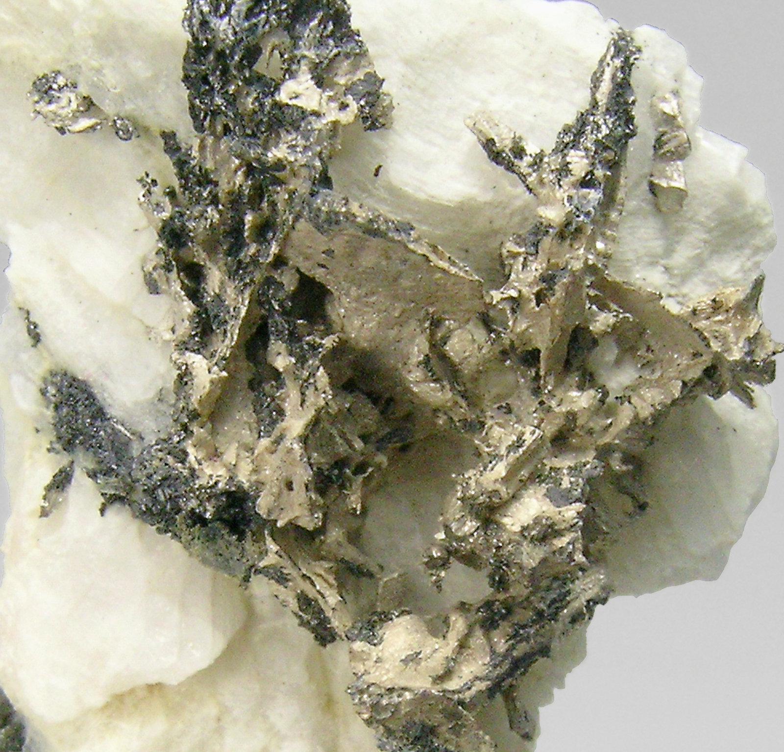 specimens/s_imagesP5/Dyscrasite-MB66P5d.jpg