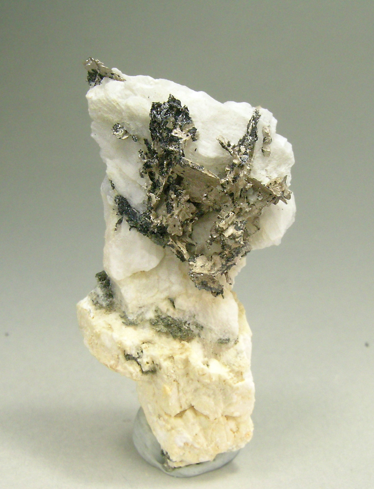 specimens/s_imagesP5/Dyscrasite-MB66P5f.jpg
