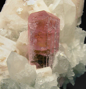 Elbaite (variety rubellite) with Quartz, Albite and Feldspar. 