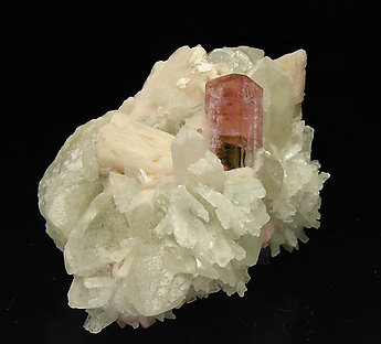 Elbaite (variety rubellite) with Quartz, Albite and Feldspar.