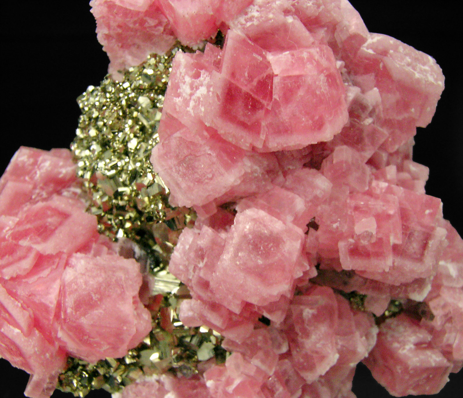 specimens/s_imagesP5/Rhodochrosite-EL37P5d.jpg