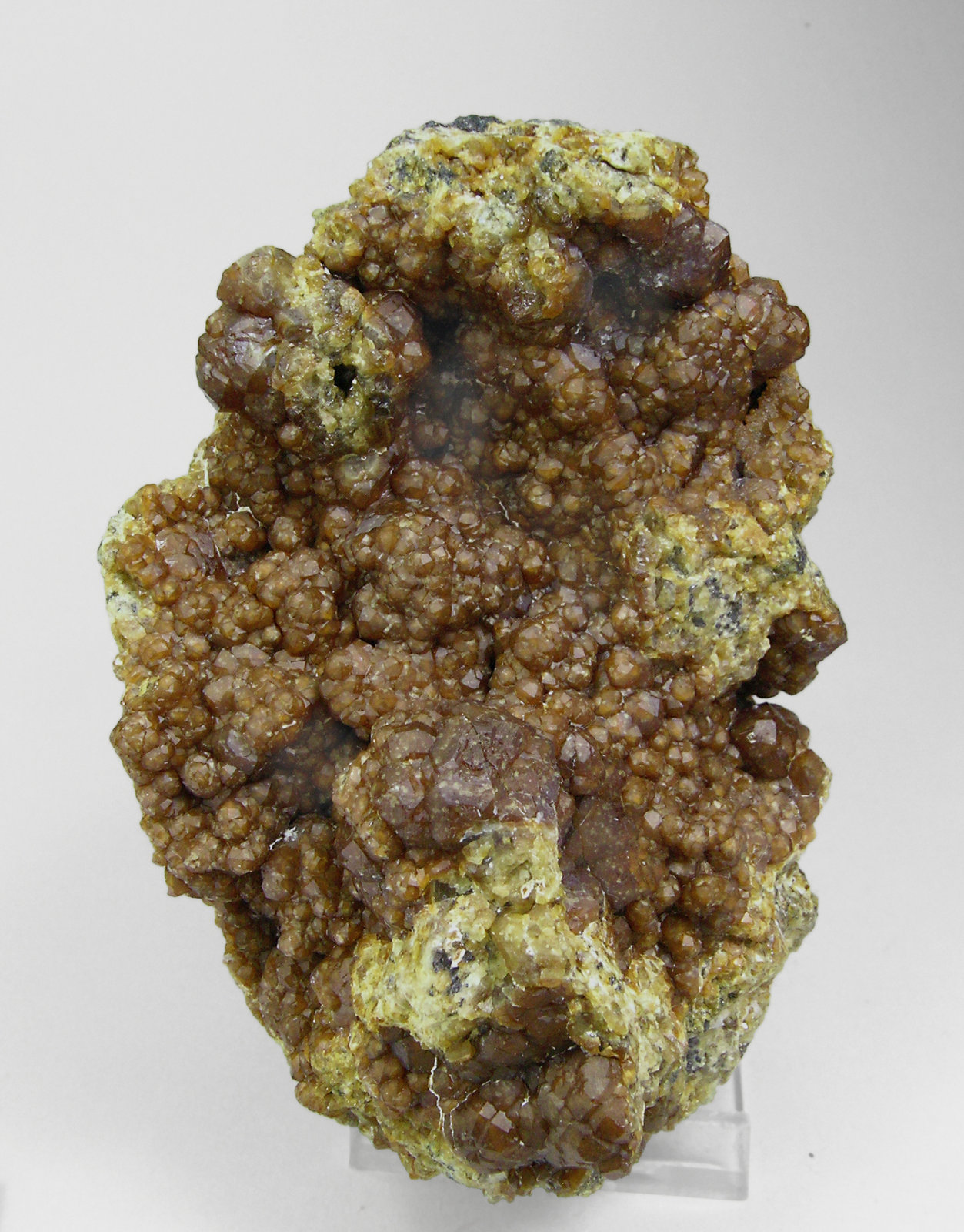 specimens/s_imagesP8/Andradite-MP6P8f.jpg