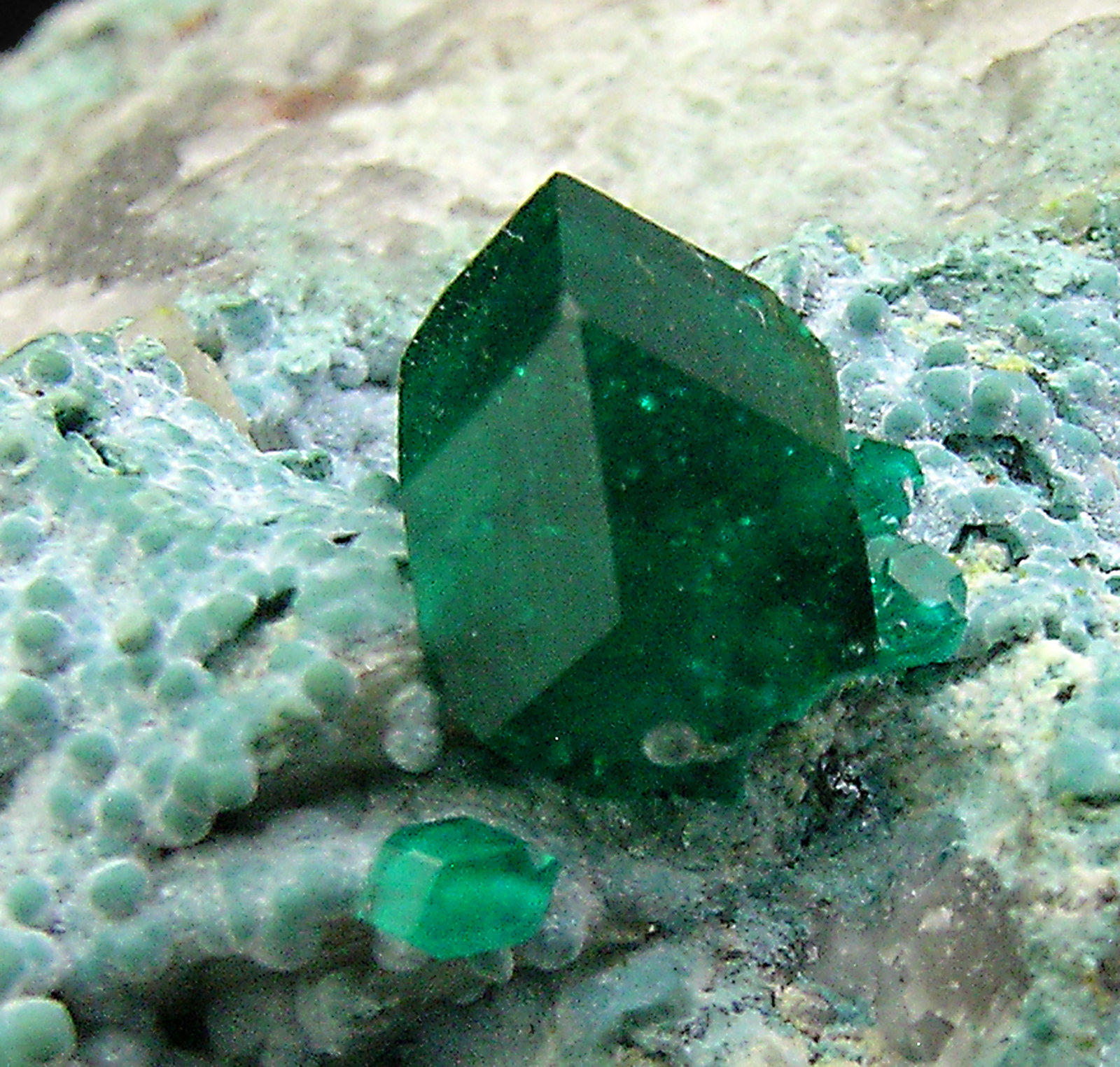 specimens/s_imagesP8/Dioptase-NR56P8d2.jpg