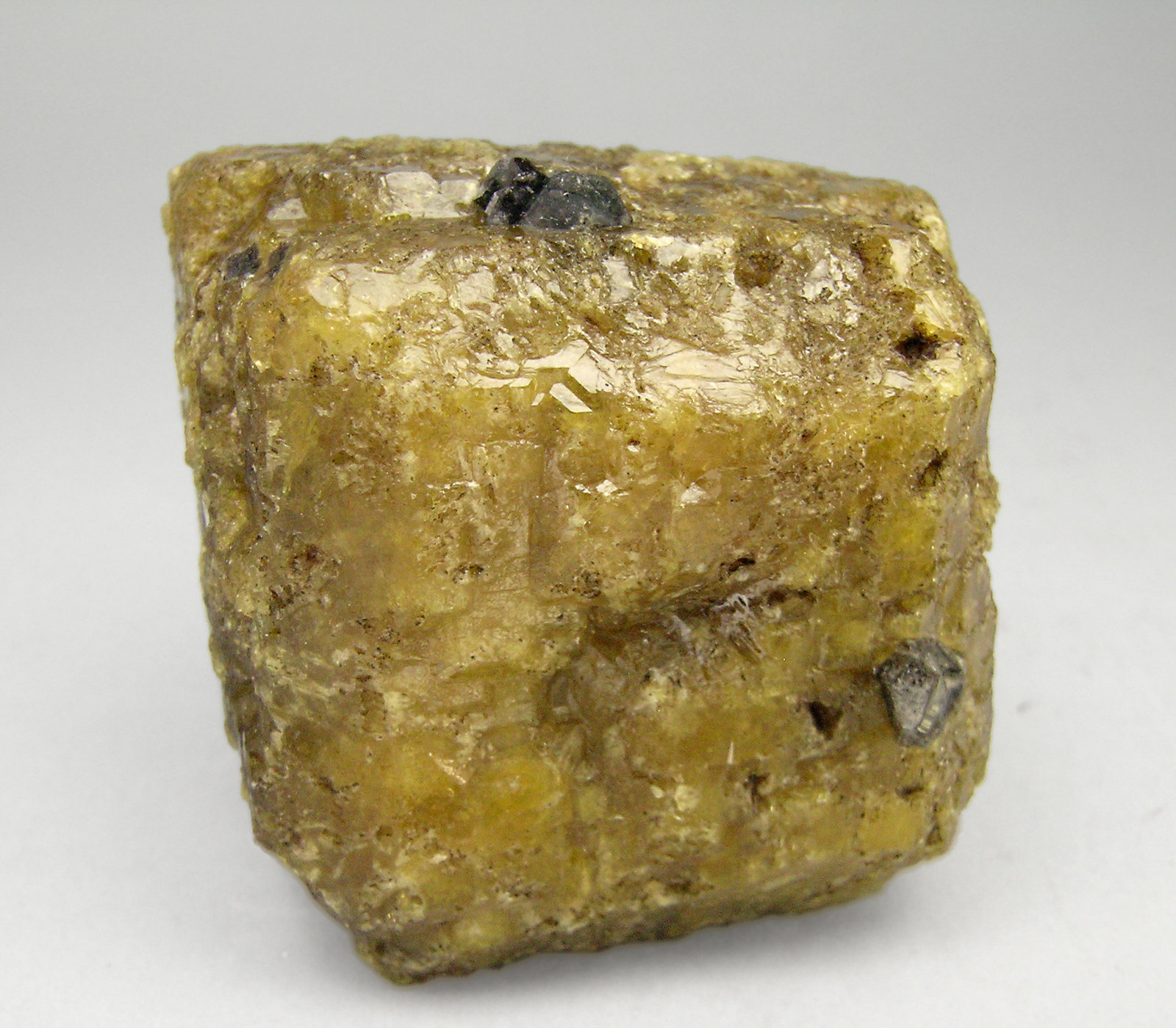 specimens/s_imagesP8/Vesuvianite-RC63P8.jpg