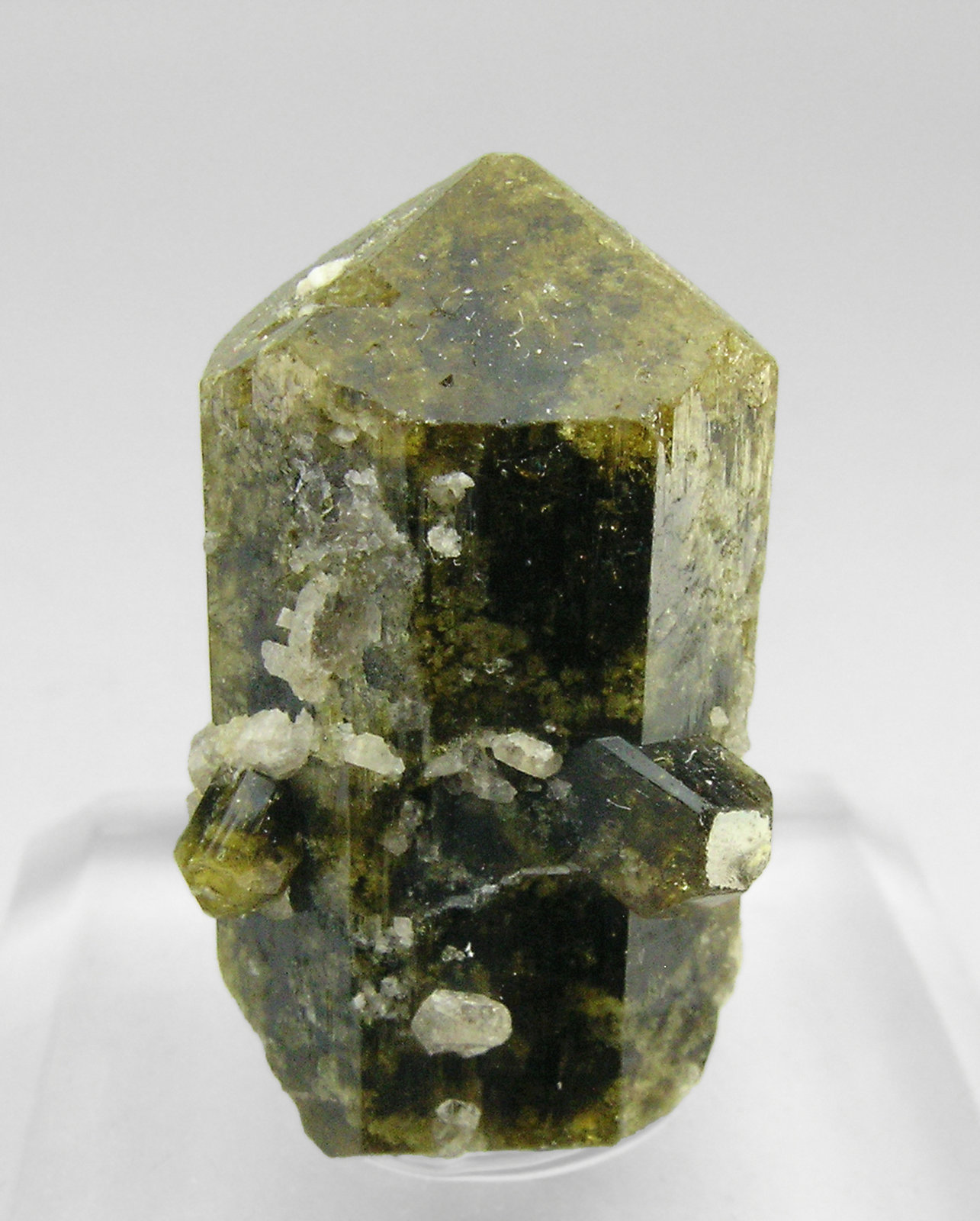 specimens/s_imagesP8/Vesuvianite-RL10P8.jpg