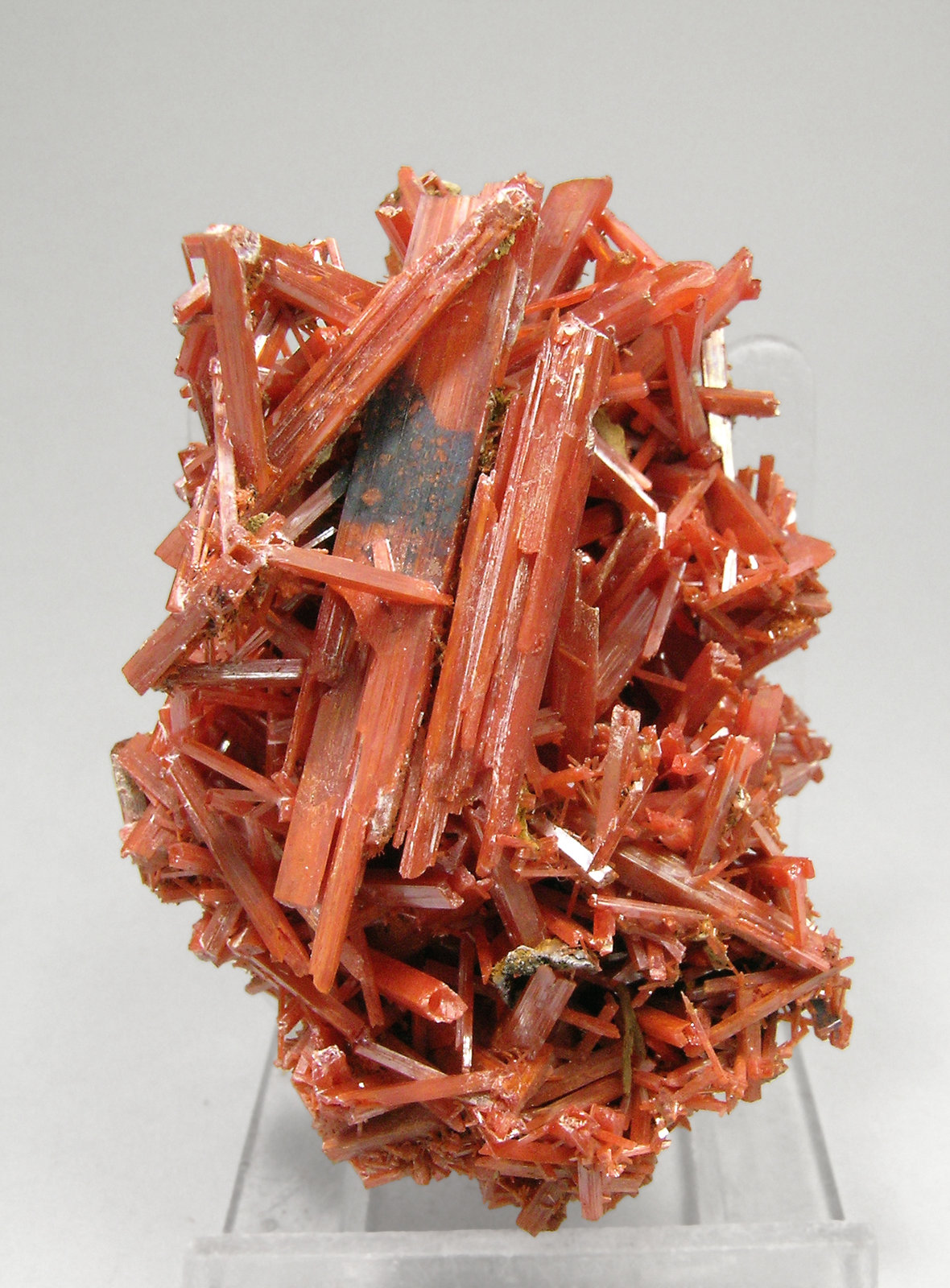 specimens/s_imagesP9/Crocoite-AM76P9f.jpg