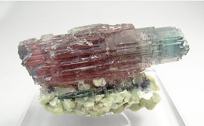 Elbaite with Mica. Front