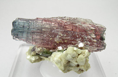 Elbaite with Mica. Rear